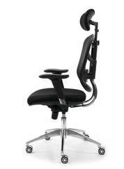 Elite Chair Manger - Korsy360