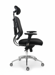 Elite Chair Manger - Korsy360